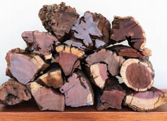 about-lionsheadsolutions